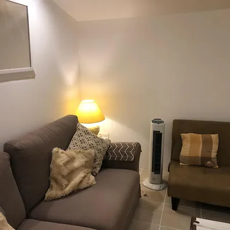 Des Tournesols * Oradour-Fanais