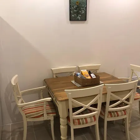 Des Tournesols * Oradour-Fanais