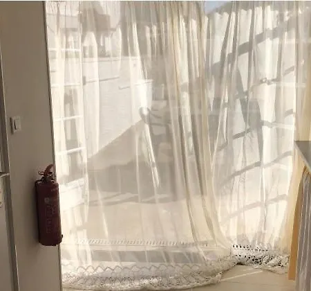 Des Tournesols * Oradour-Fanais