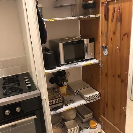 Des Tournesols Oradour-Fanais