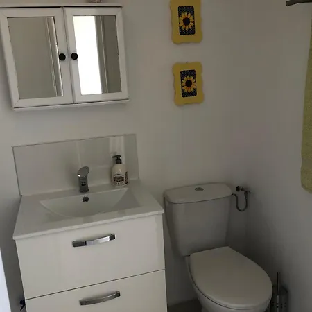 Des Tournesols בית נופש Oradour-Fanais