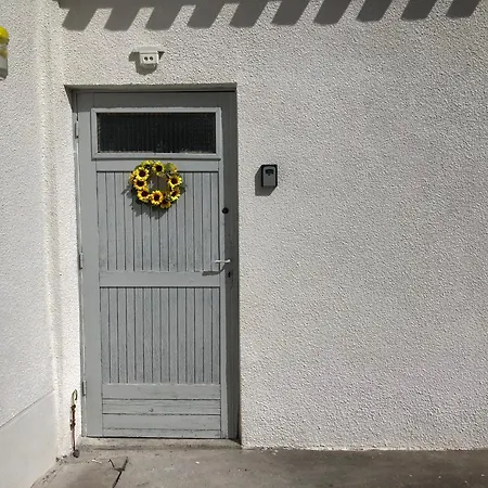 Des Tournesols *