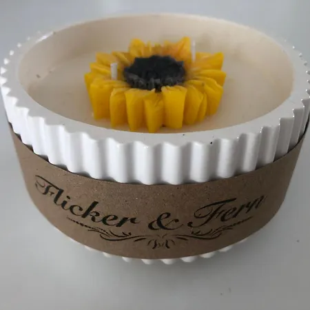 Des Tournesols Oradour-Fanais