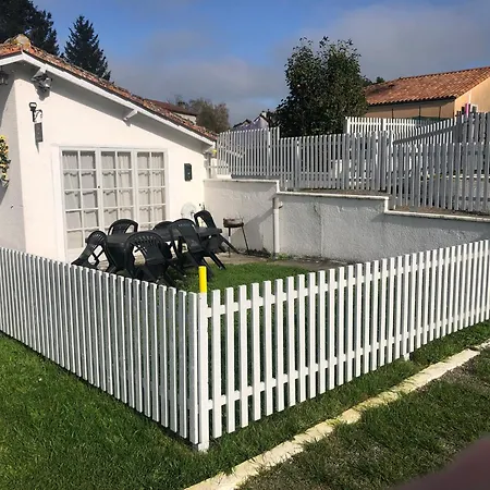 Des Tournesols Oradour-Fanais
