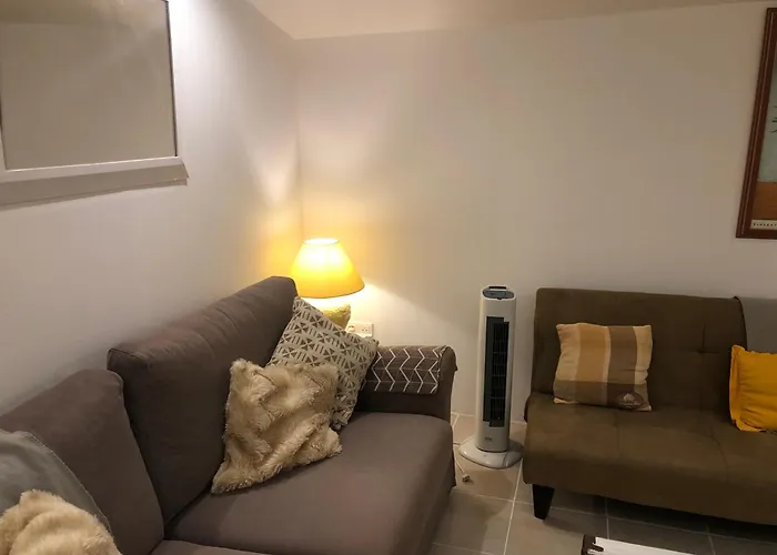 Des Tournesols * Oradour-Fanais