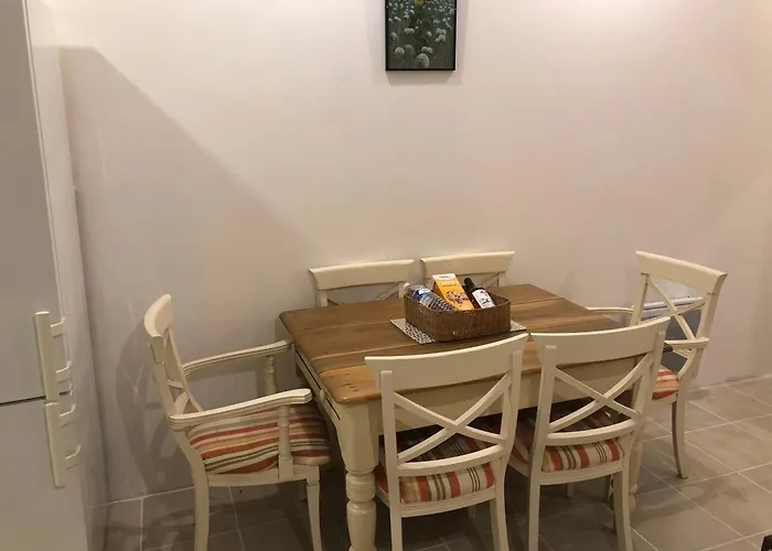 Des Tournesols * Oradour-Fanais