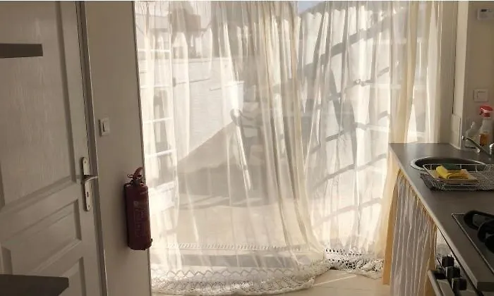 Des Tournesols * Oradour-Fanais