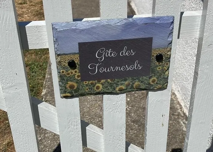 Des Tournesols Oradour-Fanais