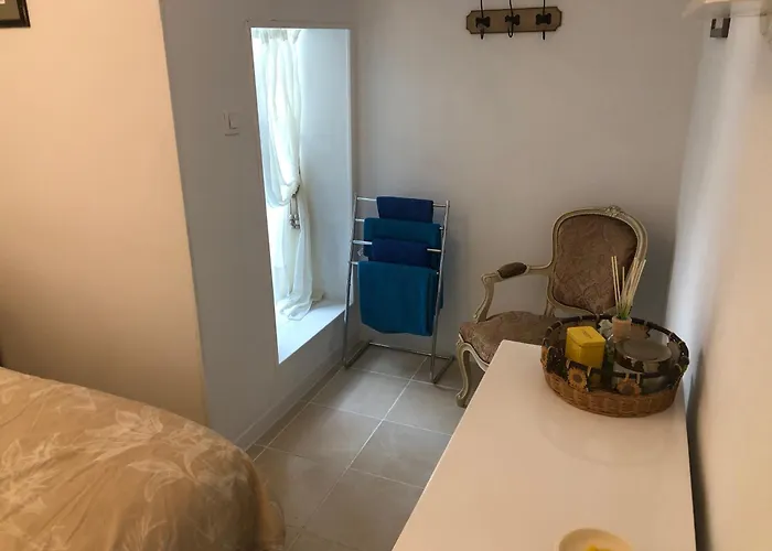 Des Tournesols * Oradour-Fanais